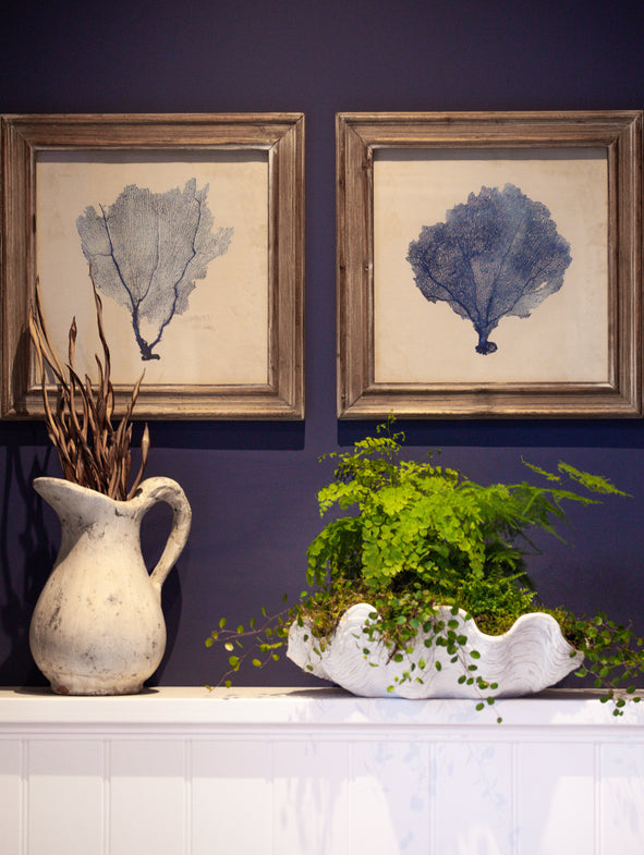 The ultimate guide to watering indoor plants